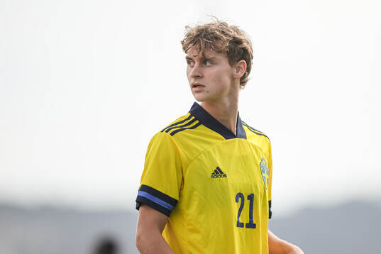 Maximilian Ibrahimovic of Sweden