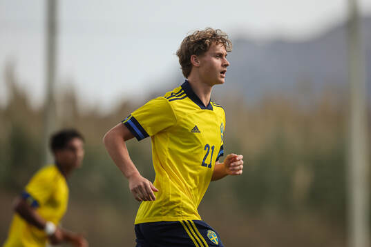 Maximilian Ibrahimovic of Sweden