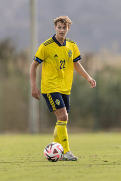 Maximilian Ibrahimovic of Sweden