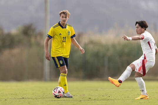Maximilian Ibrahimovic of Sweden