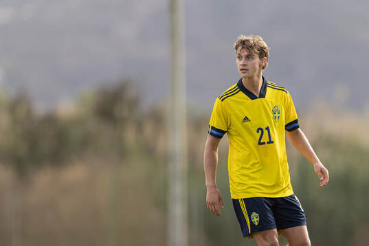 Maximilian Ibrahimovic of Sweden