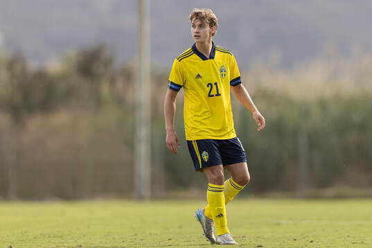 Maximilian Ibrahimovic of Sweden