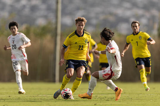 Maximilian Ibrahimovic of Sweden