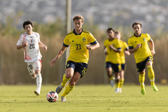 Maximilian Ibrahimovic of Sweden