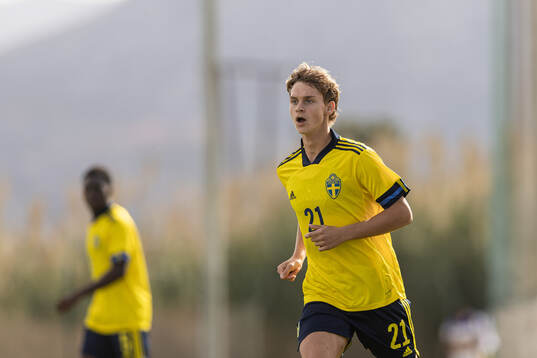 Maximilian Ibrahimovic of Sweden