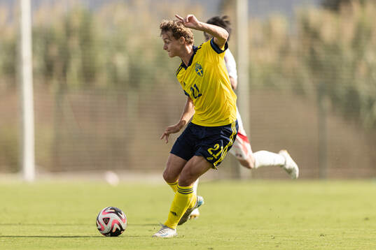 Maximilian Ibrahimovic of Sweden