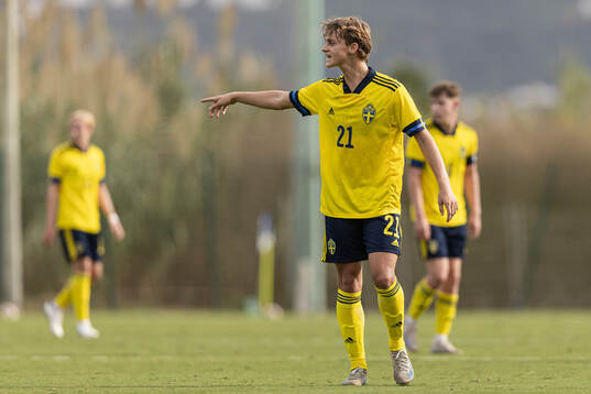 Maximilian Ibrahimovic of Sweden