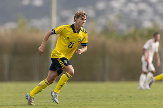 Maximilian Ibrahimovic of Sweden