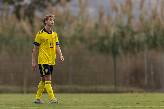 Maximilian Ibrahimovic of Sweden