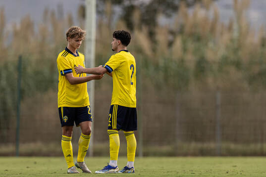 Maximilian Ibrahimovic and Emir El-Kathemi of Sweden