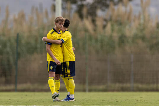Maximilian Ibrahimovic and Emir El-Kathemi of Sweden