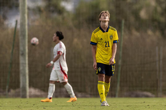 Maximilian Ibrahimovic of Sweden