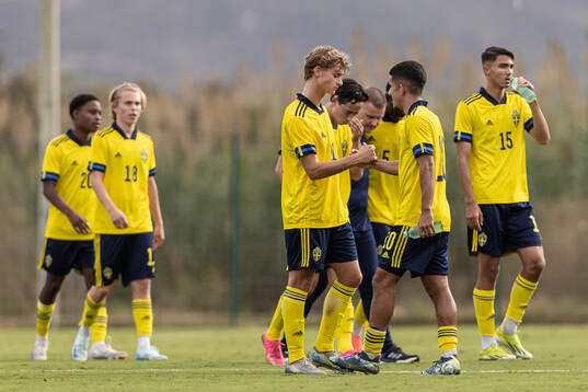 Maximilian Ibrahimovic of Sweden