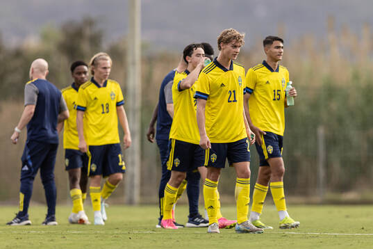 Maximilian Ibrahimovic and Jimi dos Reis Nikko of Sweden