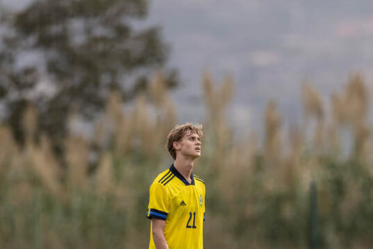 Maximilian Ibrahimovic of Sweden