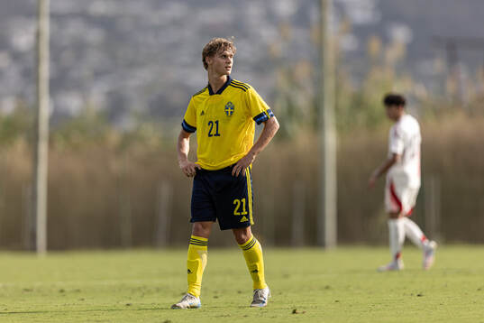 Maximilian Ibrahimovic of Sweden