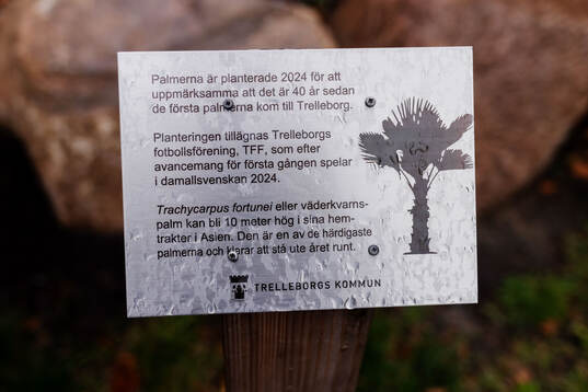 En skylt med information om palmer som planterats i