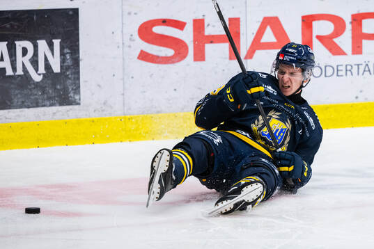 Södertäljes Egor Polin