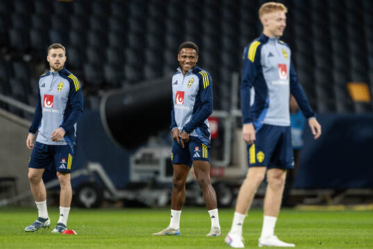 Gabriel Gudmundsson and Niclas Eliasson of the Swedish