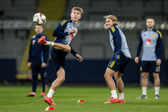 Hugo Bolin and Sebastian Nanasi of the Swedish men's