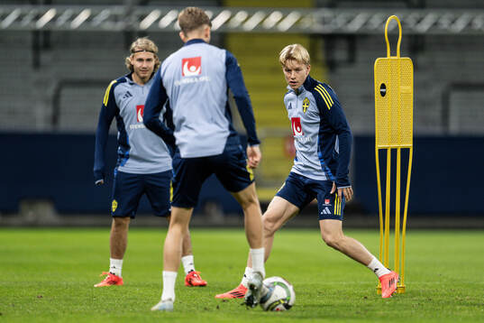 Sebastian Nanasi and Daniel Svensson of the Swedish men's