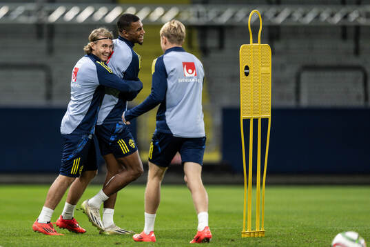 Sebastian Nanasi and Isak Hien of the Swedish men's