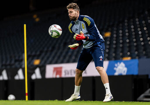 goalkeeper Kristoffer Nordfeldt of the Swedish men's