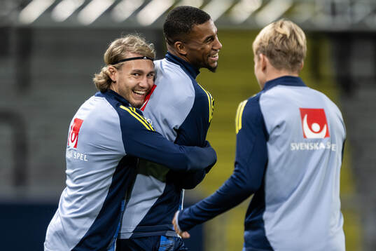 Sebastian Nanasi and Isak Hien of the Swedish men's