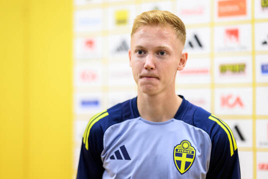 Hugo Larsson of the Swedish men's football national team