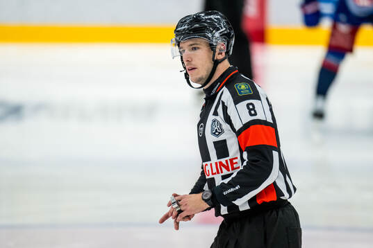 Domare Oscar Niklasson