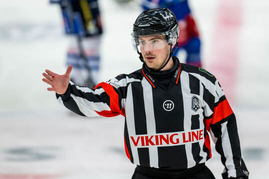 Domare Filip Eriksson