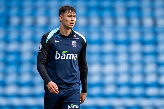 Jørgen Strand Larsen of the Norwegian national football