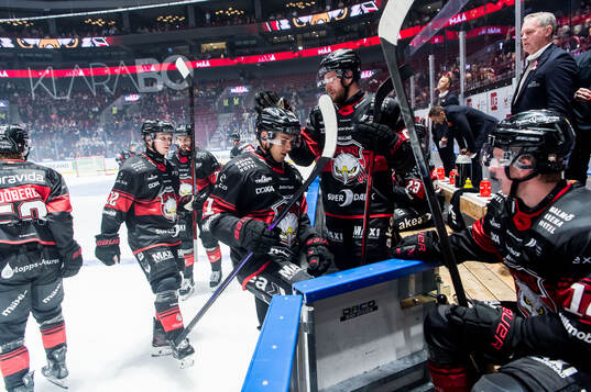 Malmö Redhawks Nikola Pasic jublar