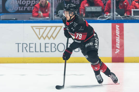 Malmö Redhawks Jakub Galvas