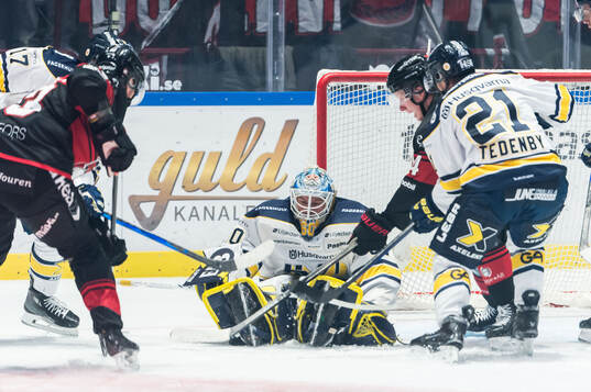 HV71s målvakt Hugo Alnefelt