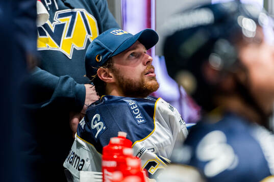 HV71s målvakt Hugo Alnefelt