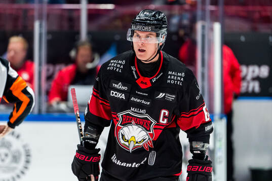 Malmö Redhawks Fredrik Händemark deppar