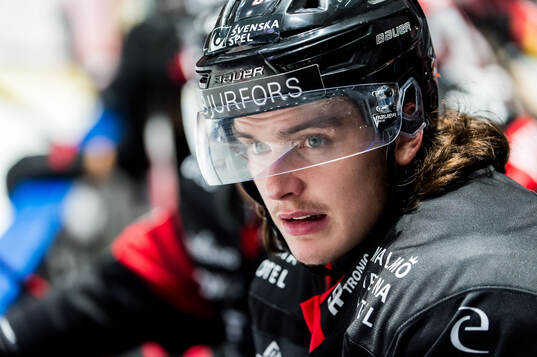 Malmö Redhawks Dominik Badinka
