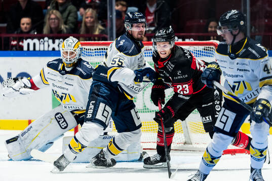 HV71s målvakt Frederik Dichow och Mikael Seppälä och