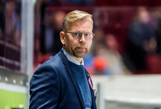 HV71s assisterande tränare Johan Davidsson