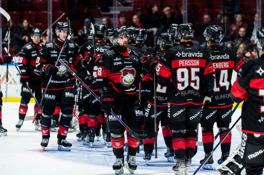 Malmö Redhawks spelare jublar