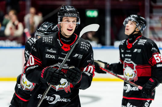 Malmö Redhawks William von Barnekow