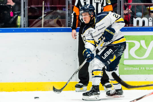 HV71s Andre Petersson