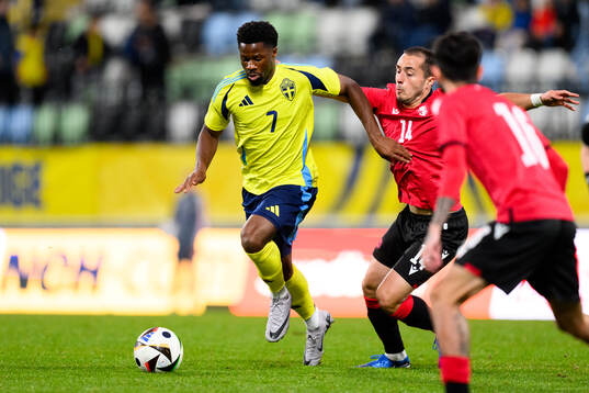 Emmanuel Ekong of Sweden and Levan Osikmashvili of Georgia