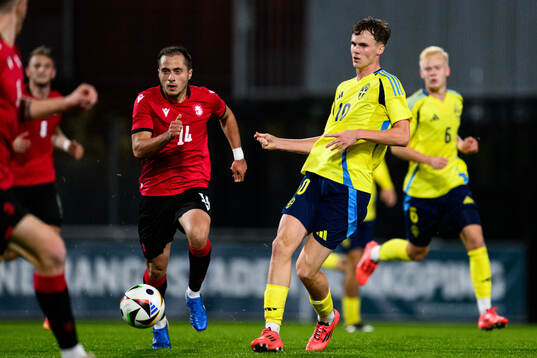 Levan Osikmashvili of Georgia and Williot Swedberg of Sweden