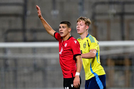 Giorgi Kvernadze of Georgia and Nils Zätterström of Sweden