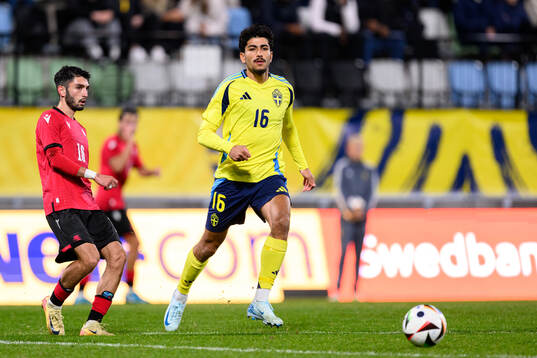 Ahmed Qasem of Sweden