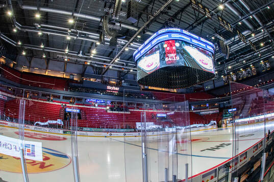 Monitor ERP Arena