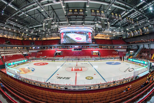 Monitor ERP Arena