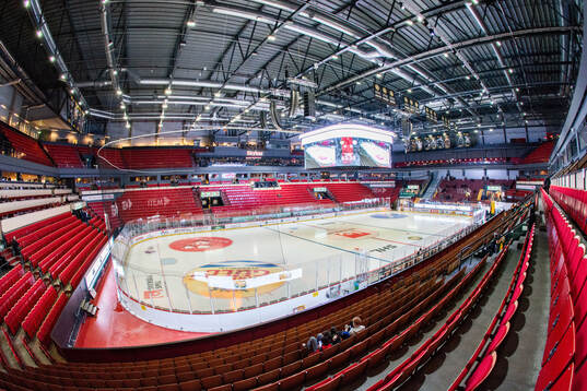 Monitor ERP Arena
